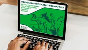 A tabela possui hiperlinks de acesso, textos explicativos, legislações vigentes – nas esferas federal, estadual e municipal –, conteúdos técnicos e sites para notificação on-line. O arquivo permite a pesquisa por tipo de enfermidade e espécie.