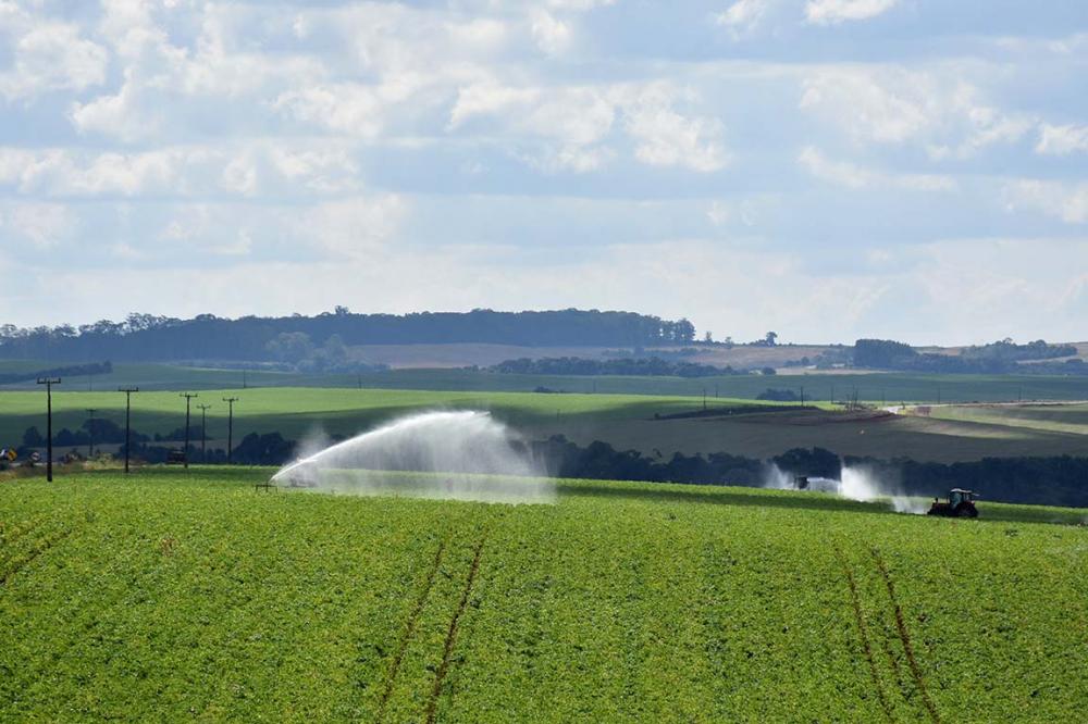 As finalidades do Banco do Agricultor é estimular investimentos no território paranaense, para gerar empregos. FotoToninho Anhaia.