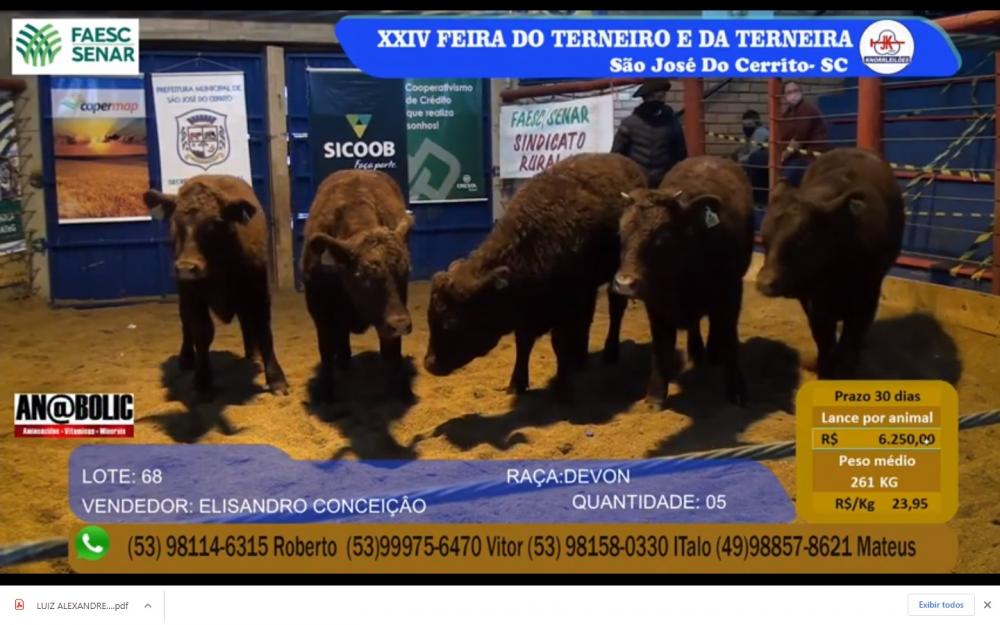 O preço pago a cada uma das cinco reses foi de R$6.250. 