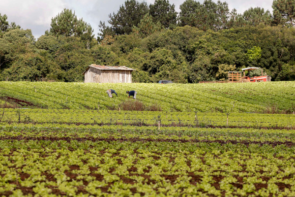 Os termos de cooperação destacam que o Estado e a Fetaep integrarão os esforços institucionais visando a ações conjuntas de políticas de inovação tecnológica, desenvolvimento rural e qualificação do processo de comercialização de produtos da agricultura f