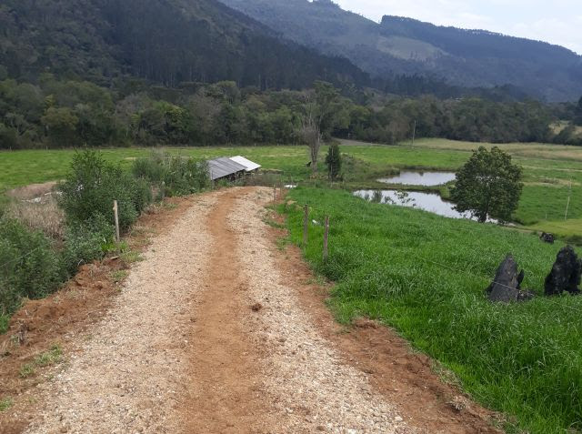 Solução simples facilita a movimentação dos animais e reduz o barro na propriedade
