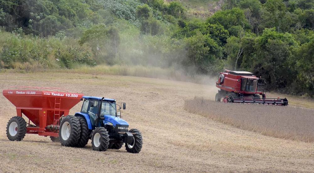 O trabalho do produtor rural não termina. Mesmo com o lucro nas mãos, ele precisa tomar a decisão correta para investir bem o dinheiro e manter a sustentabilidade do negócio. Fotos Toninho Anhaia