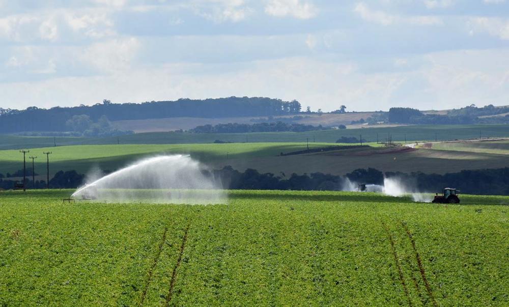 A norma autoriza sete estados, dentre eles o Paraná, a conceder isenção do ICMS nas operações com esses produtos. Além do Paraná, passam a ser mais competitivos: Acre, Alagoas, Mato Grosso, Pará, Rondônia e Santa Catarina. Foto Toninho Anhaia