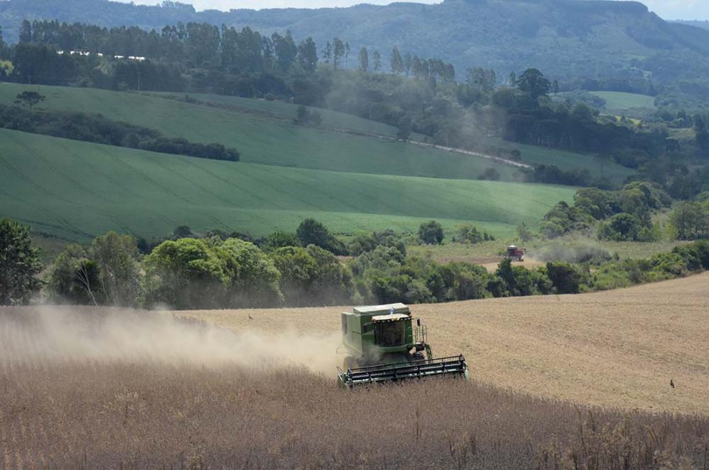 O Paraná poderá produzir 40,6 milhões de toneladas de grãos, em uma área de 10,4 milhões de hectares, na safra 2020/2021. As informações são do relatório mensal divulgado nesta quinta-feira (29) pelo Departamento de Economia Rural (Deral), da Secretaria d