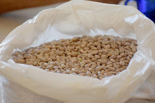 As chuvas persistem até segunda-feira, nas regiões produtoras dos estados de Minas Gerais e Goiás, depois disso a previsão é que o tempo melhore.