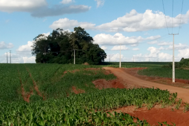 Vale do Ivaí recebe novas redes do Paraná Trifásico . Foto: Copel