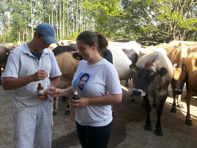 Epagri é referência nacional no uso de homeopatia na agropecuária