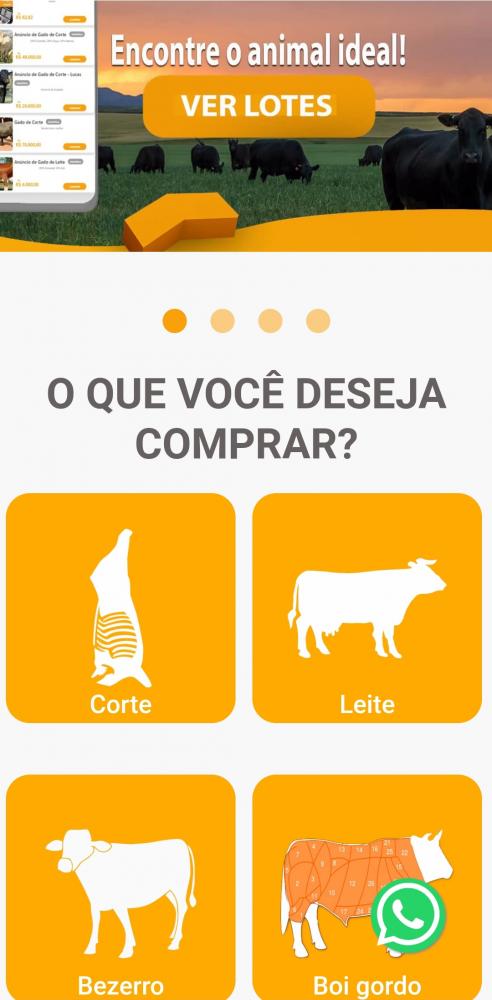 A startup desenvolveu uma plataforma de marketplace para exposição e comercialização online de bovinos de corte