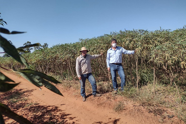 Buscar variedades mais produtivas exige anos de trabalho dos pesquisadores e o extensionista é fundamental para fazer esse conhecimento chegar aos agricultores. Fotos IDR