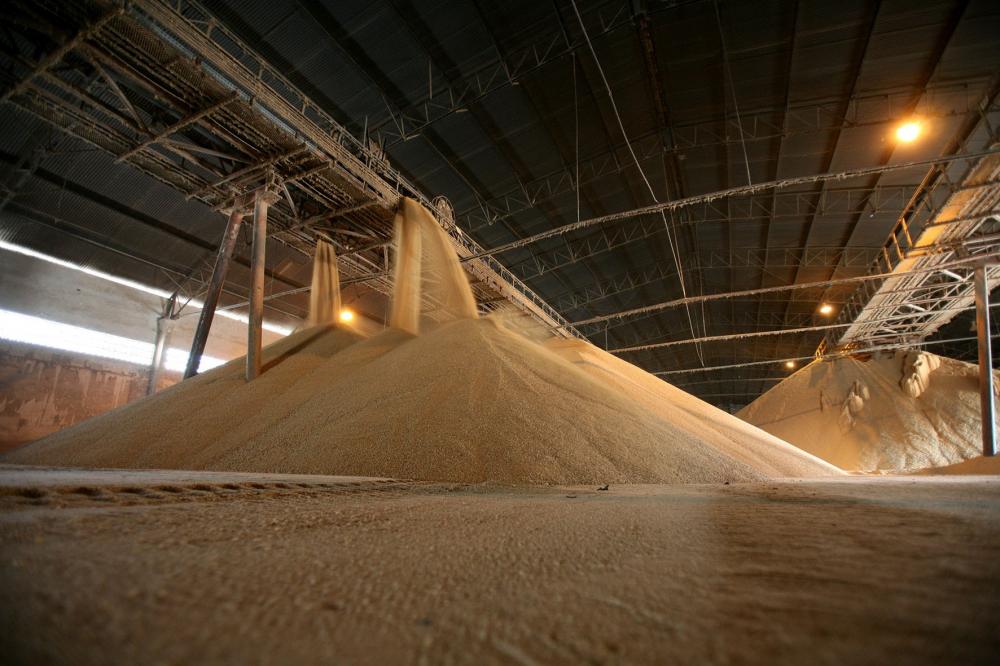 Os produtos que o Paraná mais exportou em 2019 foram soja (US$ 4,9 bilhões), 31% a menos do que no ano anterior; carnes (US$ 2,8 bilhões), crescimento de 9,7%; material de transporte (US$ 1,8 bilhão), queda de 47%; e madeira (US$ 1,1 bilhão), redução de 1