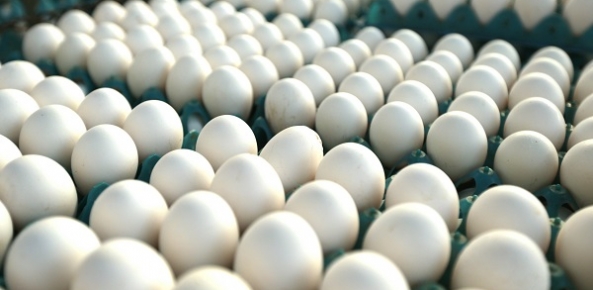 O mercado interno tem absorvido praticamente toda a produção. É um fato histórico para o país, pois o Brasil alcançou a média mundial de 230 unidades consumidas por pessoa em 2019