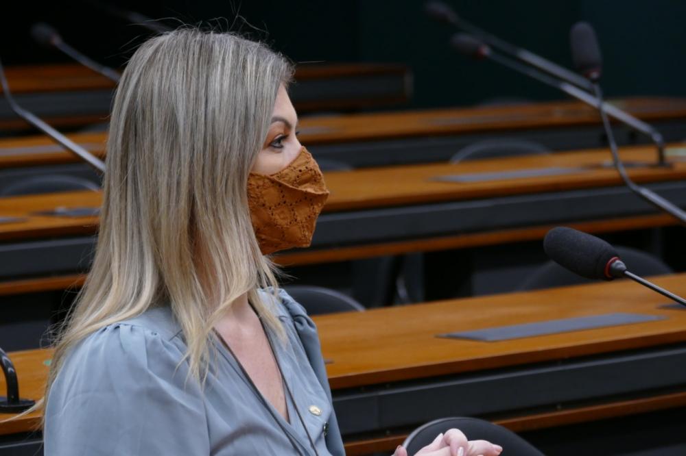 A Deputada Aline Sleutjes, é a favor da sustentabilidade, mas sem uma nova burocracia que possa ser prejudicial à segurança alimentar brasileira. 