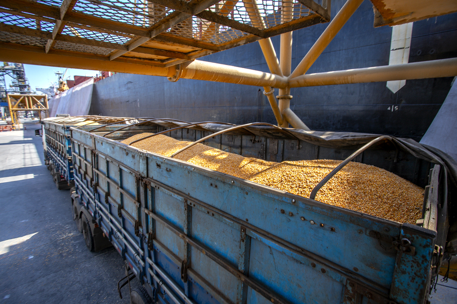 Segundo o diretor de Operações da Portos do Paraná, Luiz Teixeira da Silva Júnior, esta não é a primeira vez que o Porto de Paranaguá recebe milho de importação. Fotos AEN