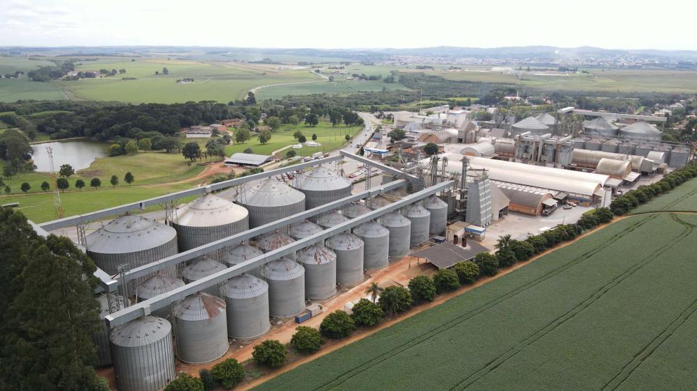 Os dados da cooperativa trazem uma produtividade na casa de 4 mil kg/ha, valor 12,5% mais alto que a média estadual.