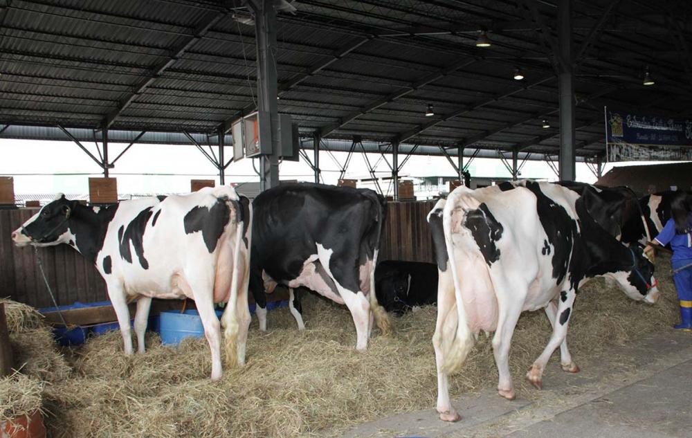 “É uma agropecuária madura que representa muito para o Estado, para o país e para o mundo.