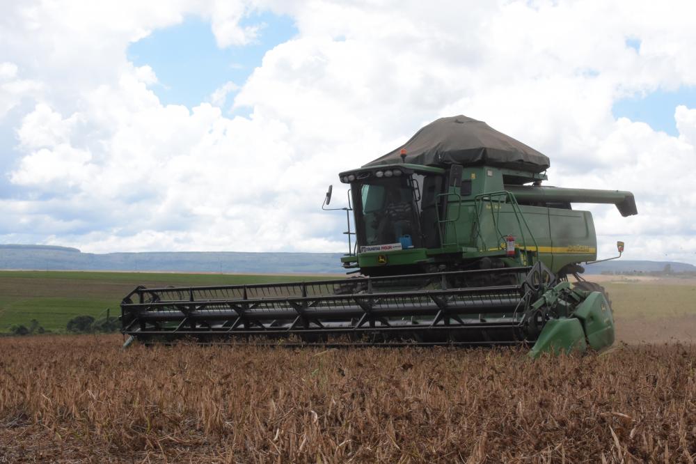 De acordo com os dados deste mês, adversidades climáticas como a seca e, mais recentemente, as geadas, impactaram no desenvolvimento das principais culturas do Estado, como o milho e o feijão. Foto Toninho Anhaia