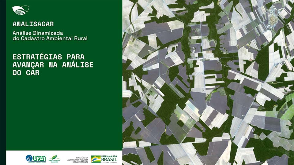A análise dos dados declarados no CAR é fundamental para a implantação efetiva do Código Florestal Brasileiro