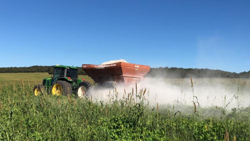 A correta calagem do solo auxilia no aumento da resistência da planta, principalmente em momentos de alterações climáticas