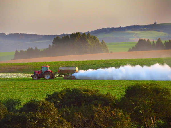 A produção de grãos no Brasil novamente supera as previsões de boa safra. Foto Michel Taques