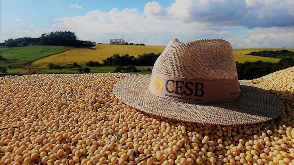 Nilson Caldas, diretor de marketing do CESB, observa que o intenso compartilhamento de conhecimentos na sojicultura é o grande objetivo do CESB.