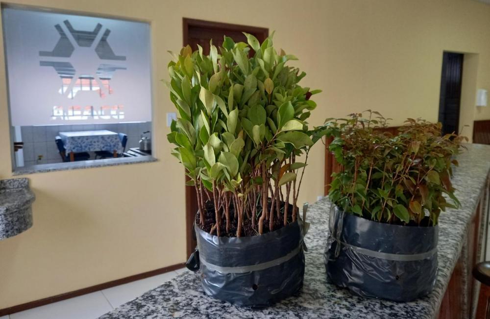 A expectativa com a troca é arrecadar mais de uma tonelada de produtos para serem doados.