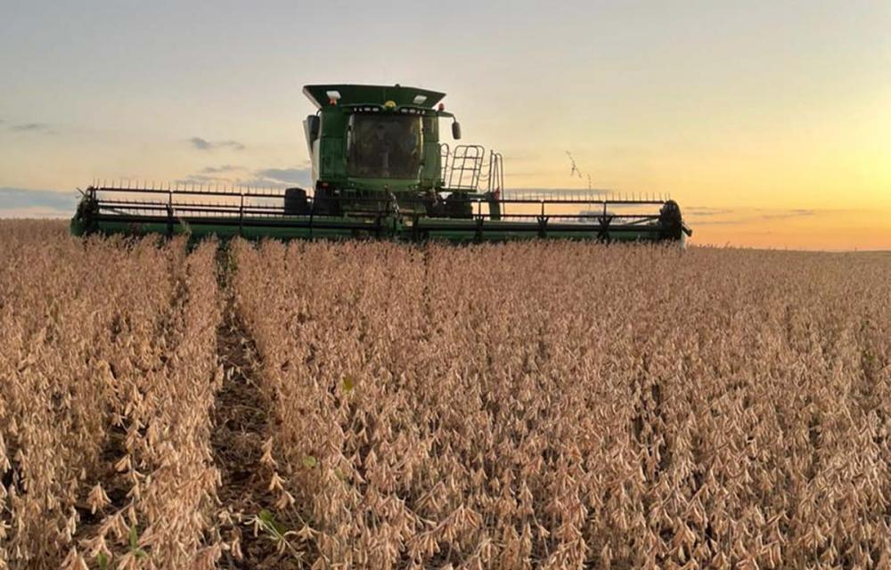 Levantamento da FecoAgro/RS aponta, no entanto, que mesmo com a alta, bons preços favorecem relação de troca Paulo Pires/Divulgação