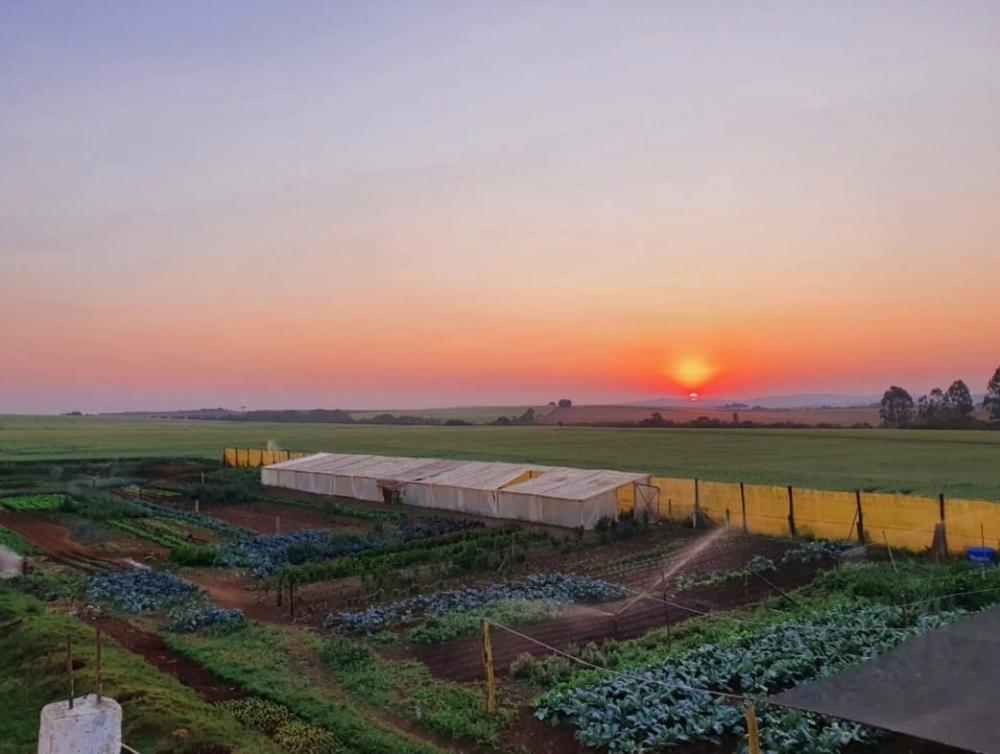 Há três anos, Rolinda Salomons produz diversas hortaliças pela região dos Campos Gerais Créditos: Rolinda Salomons/Divulgação
