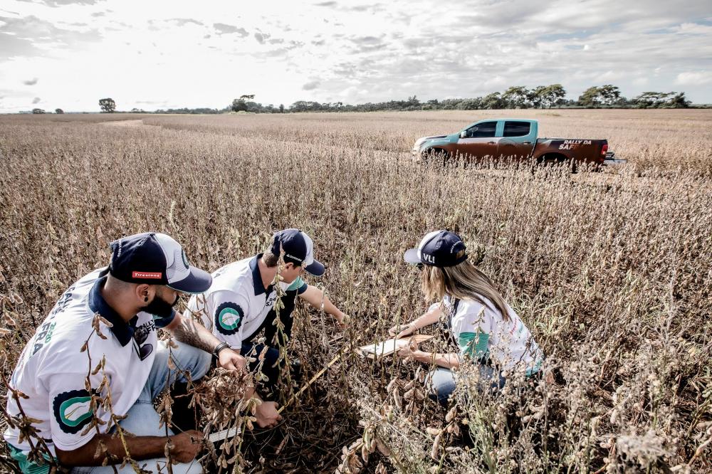 Após a avaliação de lavouras precoces pelas três primeiras equipes da expedição, a consultoria revisou o número para 126,3 milhões de toneladas do grão. A estimativa pré Rally era de 124,3 milhões de toneladas. 