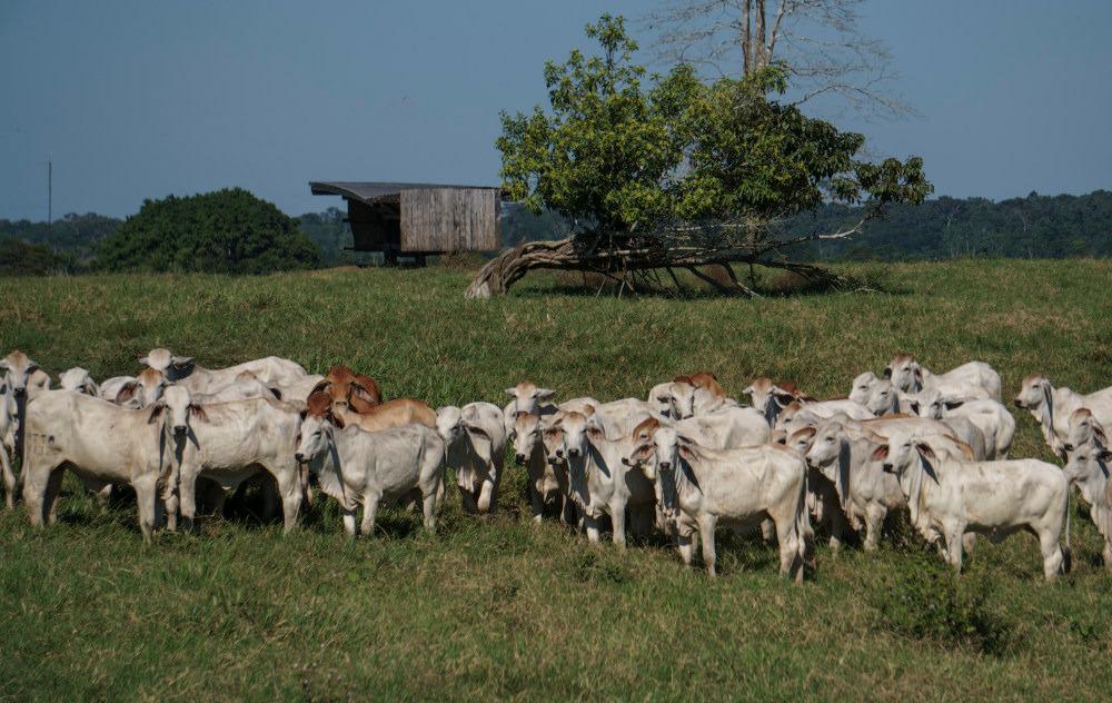 As inscrições já estão abertas e vão até o dia 20 de junho.