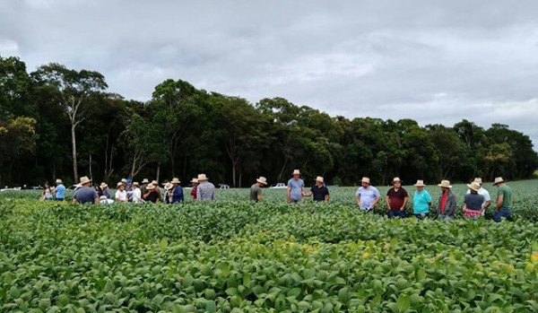 Nos dias 3 e 4 de março, o Tec Campo acontece nos municípios de Taquarituba e Taquarivaí (São Paulo). No evento, cooperados das unidades terão acesso às palestras técnicas e poderão observar as cultivares da própria região.