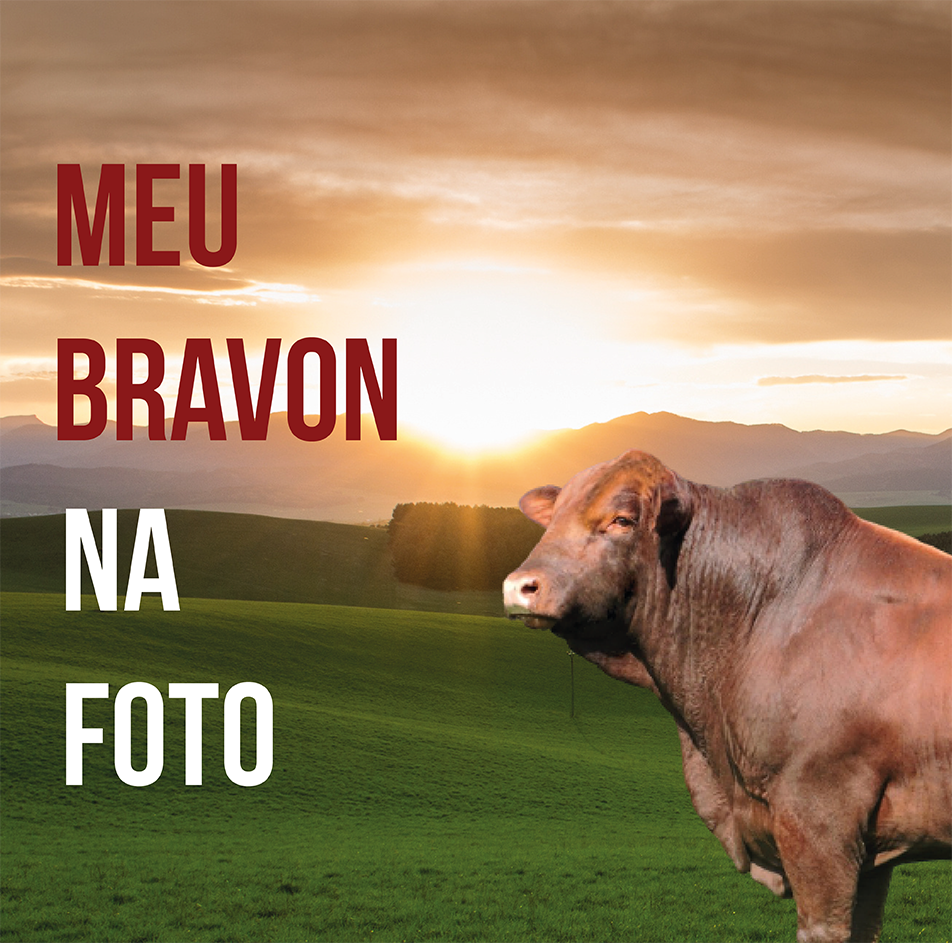 As fotografias devem ser enviadas até dia 1º de julho