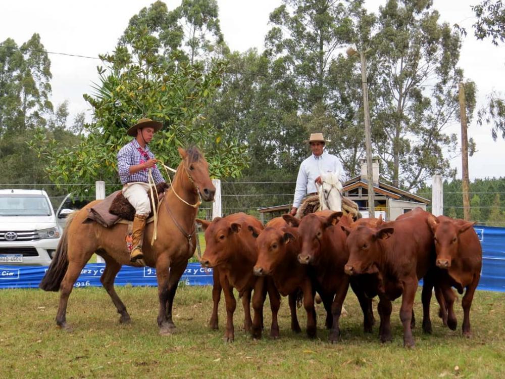 A associação conta com 11 associados presentes em 6 estados e no Uruguai.