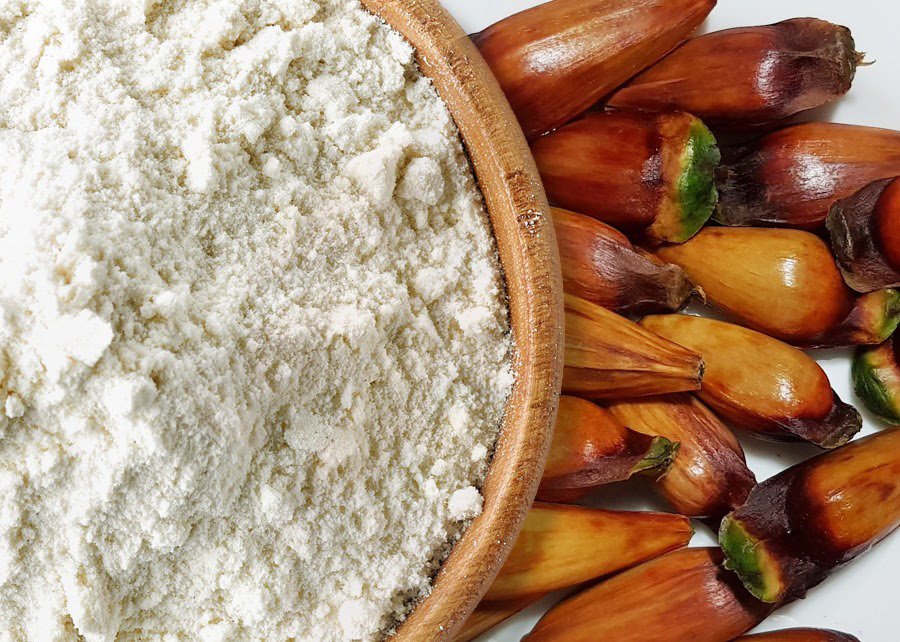Bastante apreciado na alimentação humana, o pinhão tem potencial para uso na alimentação de pessoas celíacas, pois não contém glúten.