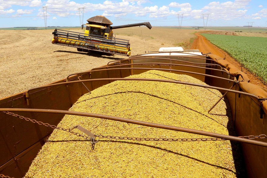 Os números divulgados nesta quinta-feira (24) mostram os efeitos da longa estiagem no Paraná, com perdas significativas na segunda safra de feijão e na produção de milho safrinha, fundamental para abastecer o mercado de proteínas animais e para o cumprime