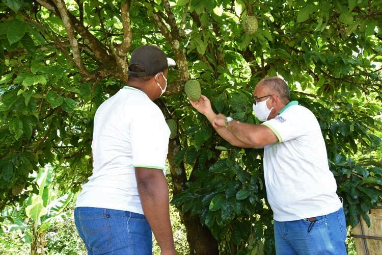 De acordo com o coordenador de Crédito Rural da Emater-MG, tradicionalmente, o Pronaf tem muita demanda por recursos para investimento, pois muitas vezes, os agricultores familiares ainda estão estruturando suas propriedades, fazendo melhorias no processo