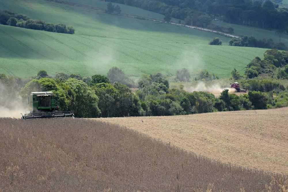 Para esta safra, a instituição financeira cooperativa estima viabilizar mais de R$ 20,1 bilhões em crédito rural, projetando atingir mais de 220 mil operações. Foto Toninho Anhaia