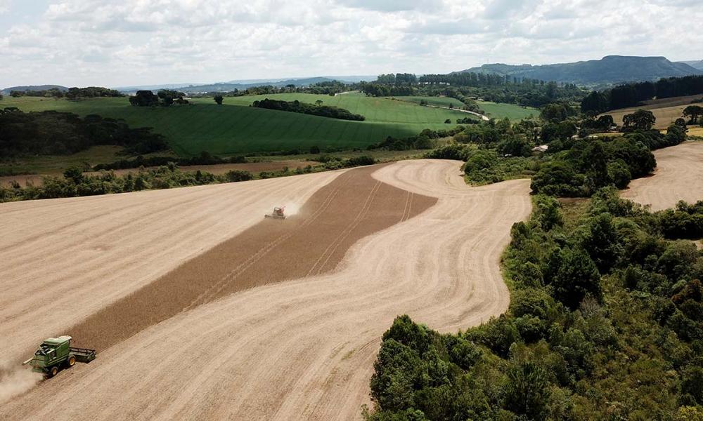 O fomento do governo está focado principalmente nos pequenos e médios produtores, mas também tem novidades como um orçamento exclusivo de R$ 50 milhões para Seguro Rural via PRONAF. Foto Toninho Anhaia.