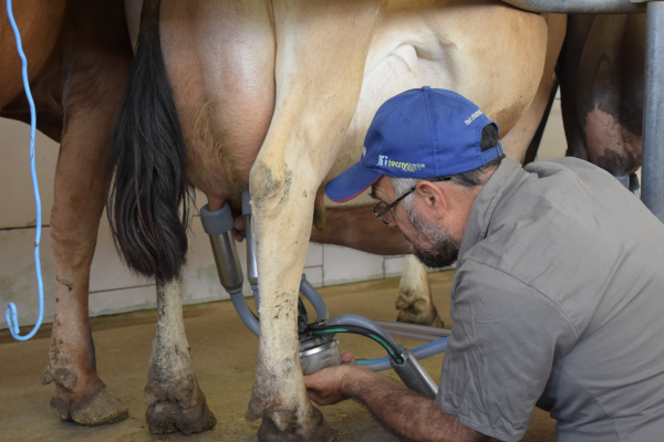 Conheça as modalidades da aposentadoria rural. Foto Toninho Anhaia