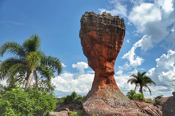 “Estamos colocando Vila Velha entre os destinos mais importantes do mundo. A iniciativa privada fará o investimento em infraestrutura, com a participação do Estado na gestão ambiental. Esse modelo faz Ponta Grossa dar um salto”, disse o governador. 