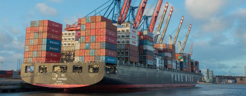 Entre os principais destinos das exportações em junho, foram destaque neste mês a China (principal importador da carne de frango do Brasil), com 56,5 mil toneladas importadas (-0,3% em relação ao mesmo período de 2020); Emirados Árabes Unidos, com 30,1 mi
