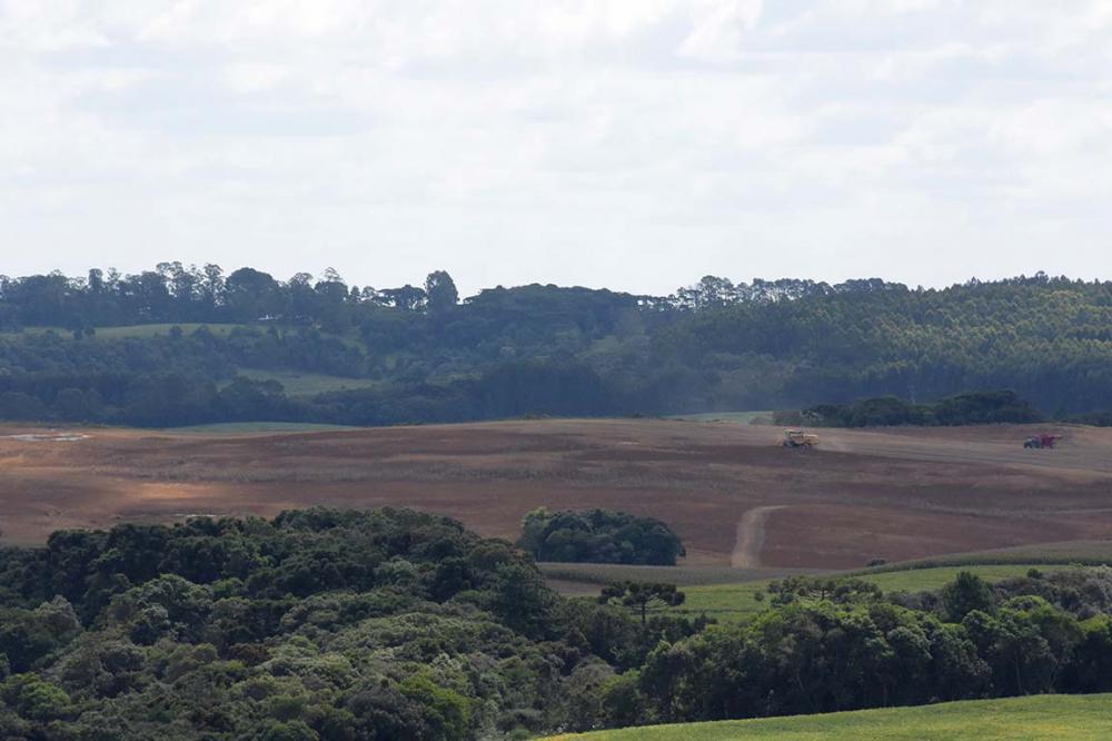 É fundamental que o seguro Rural seja, cada vez mais, entendido pelo produtor como um insumo, um investimento e uma ferramenta essencial para que possa se garantir no mercado, por meio da proteção de sua propriedade, lavoura e seus equipamentos. Foto Ton
