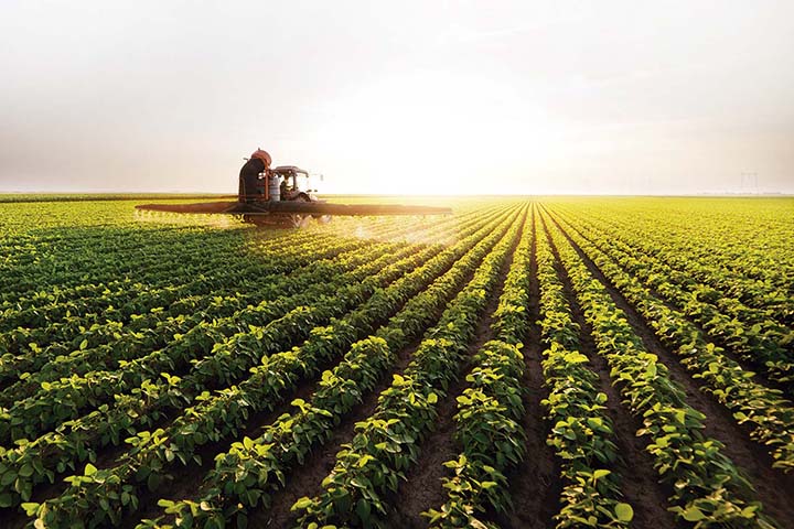 A Intacta 2 Xtend é uma terceira geração de biotecnologia que substitui a cultivar Intacta RR2 PRO, lançada em 2013, e que atualmente corresponde à 80% da área plantada do Brasil