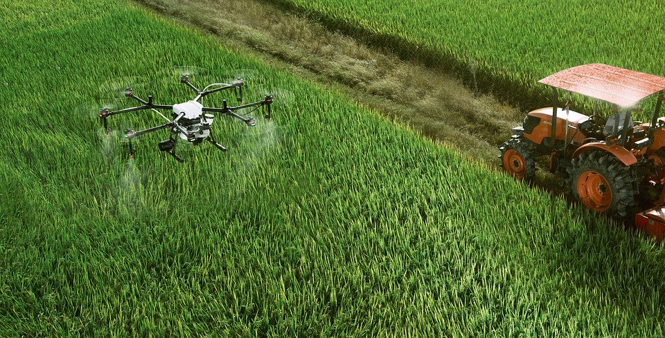 A aposta dos produtores na tecnologia faz com que os produtos do país, seja na agricultura ou na pecuária, se tornem referências. Foto Pixabay.