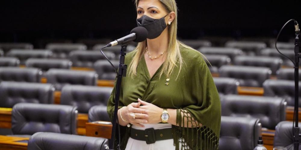 Na abertura do evento a presidente da CAPADR, deputada Aline Sleutjes (PSL) falou sobre o avanço importante que o setor agropecuário pode ter com as mudanças no crédito rural.