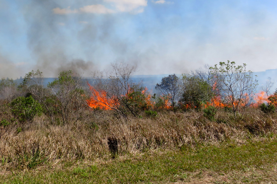 O Instituto Ambiental do Paraná (IAP) aplica novamente a técnica de manejo com fogo controlado no Parque Estadual de Vila Velha, em Ponta Grossa. Foto: Divulgação IAP