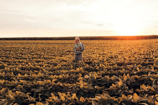 De acordo com as novas regras, o produtor rural pessoa física – classificado como “contribuinte individual” ou “empregador rural” – fica desobrigado a enviar as informações quando comercializar sua produção diretamente com empresa adquirente, como coopera