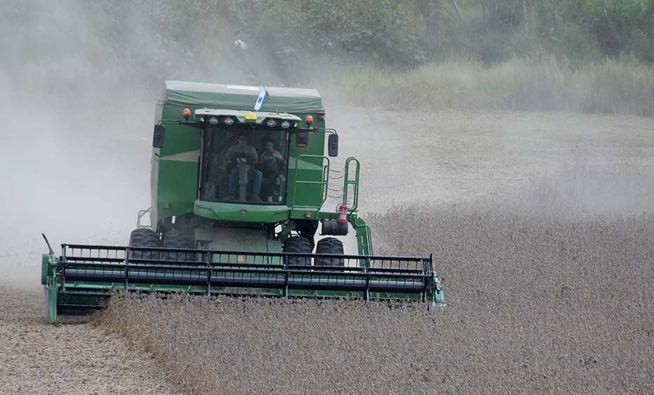 O VBP contempla aproximadamente 350 itens. Os dados são levantados ao longo do ano com pesquisas semanais de preços e das condições de lavoura, culminando com esse levantamento mais específico de itens diversificados da fruticultura, floricultura, silvicu