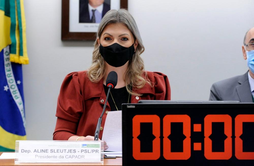 Comissão de Agricultura, Pecuária, Abastecimento e Desenvolvimento Rural (CAPADR), presidida pela vice-líder do Governo, Aline Sleutjes