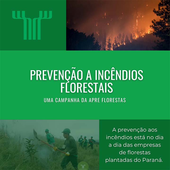 Além de comprometer a biodiversidade das florestas nativas, os incêndios são uma grande ameaça às empresas de base florestal.