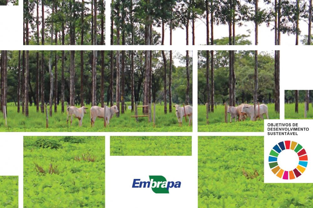 A editora afirma que os estudos comprovam que os resultados econômicos são positivos desde que as recomendações técnicas da ILPF sejam seguidas e haja demandas pelos produtos oriundos do sistema no mercado regional.
